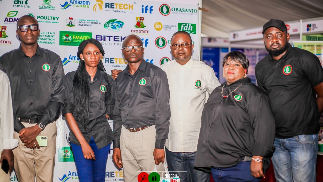 优化非洲畜牧展策略：提升参展效益关键点