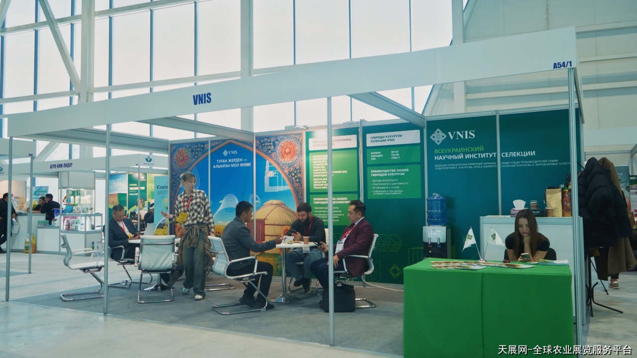 一带一路农业市场