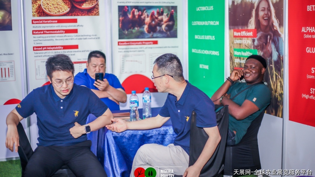 尼日利亚家禽展